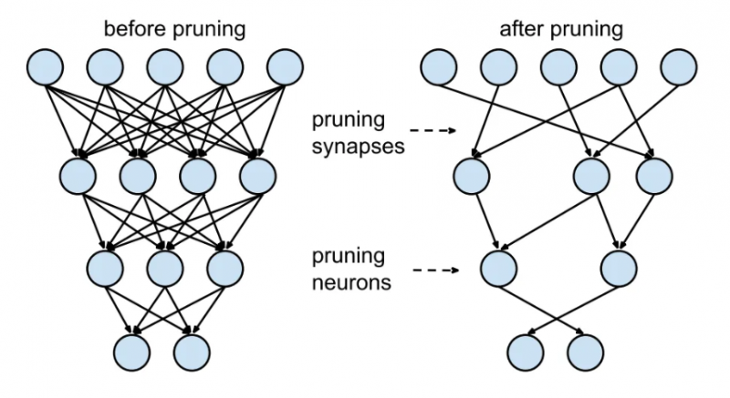File:Pruning.png